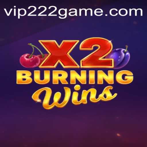 BurningWinsX2: The Ultimate 222game Experience