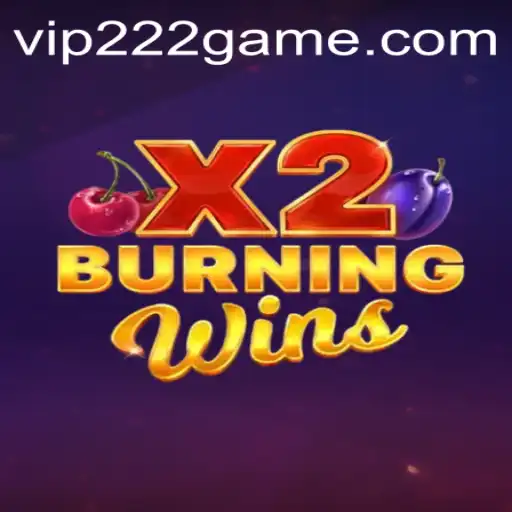 BurningWinsX2: The Ultimate 222game Experience